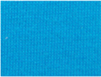 ORGANIC MALIBU BLUE PMS 307C