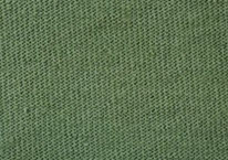 Cypress Green PMS