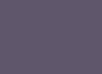 GRAPHITE PMS 5255 U